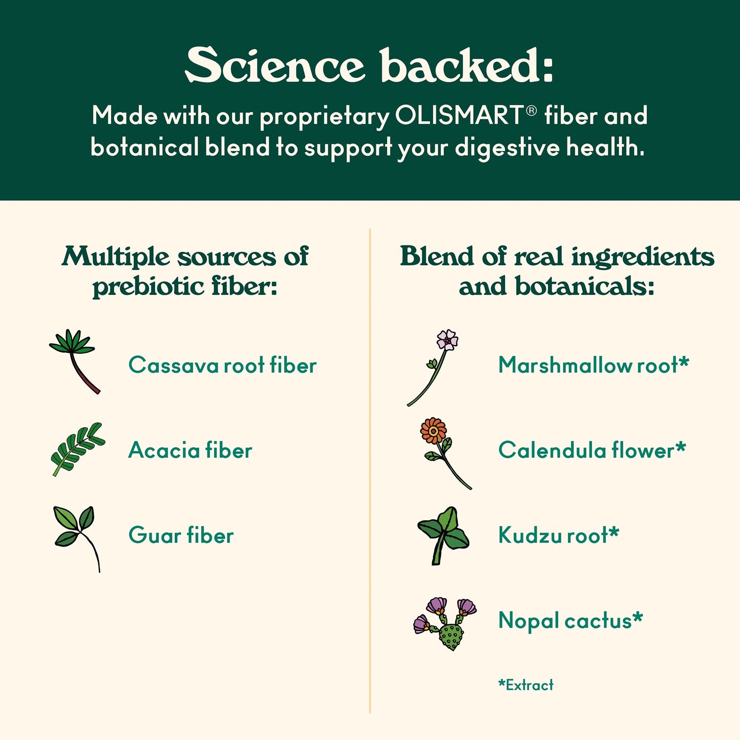 Cherry Cola