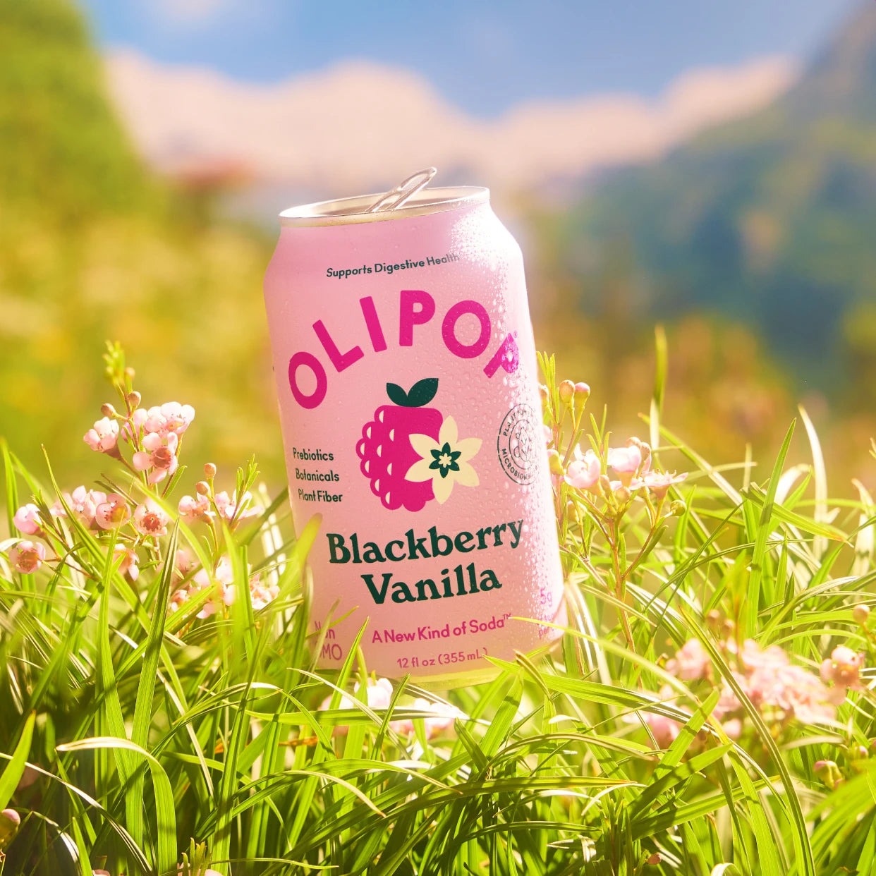 Blackberry Vanilla
